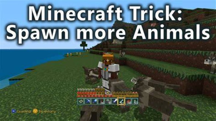 How do animals spawn in minecraft
