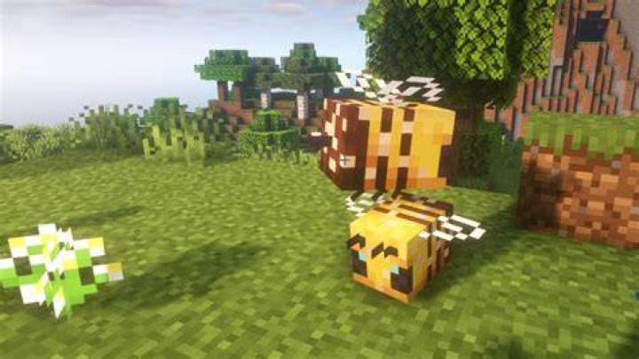 How do bees die in minecraft