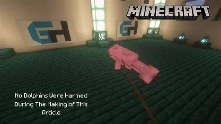 How do dolphins die in minecraft