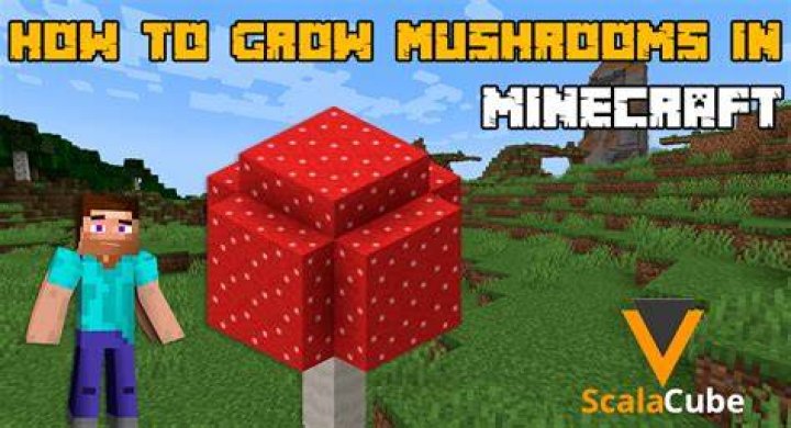 How do i grow mushrooms in minecraft