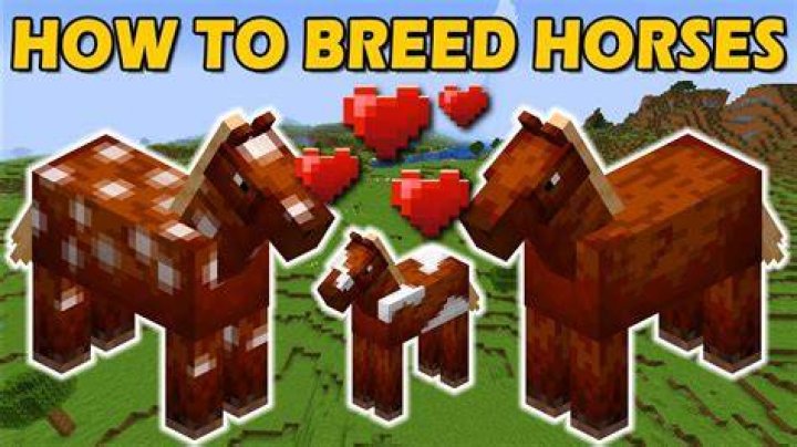 How do u breed horses in minecraft