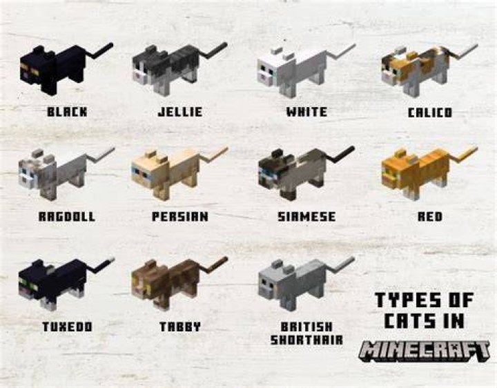 How do you breed cats in minecraft