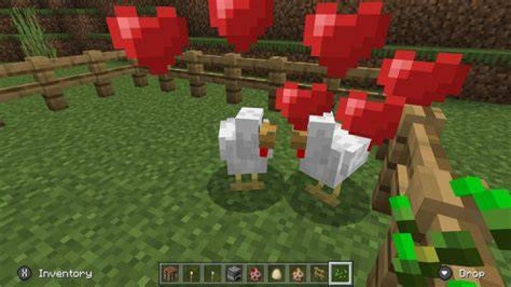 How do you breed chickens in minecraft