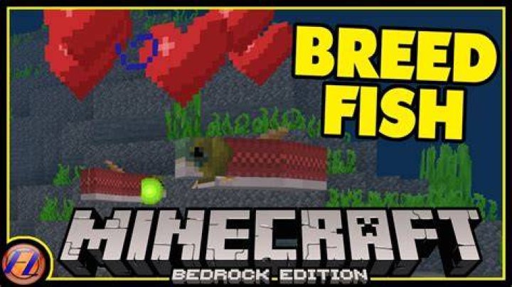 How do you breed fish in minecraft