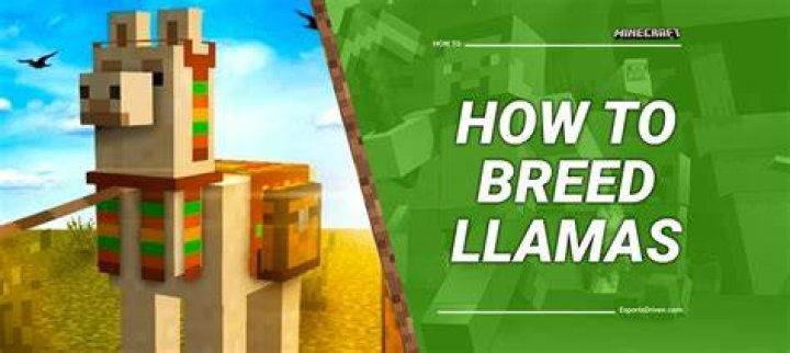 How do you breed llamas in minecraft