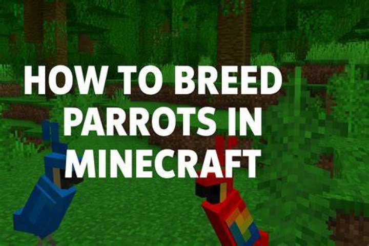 How do you breed parrots in minecraft