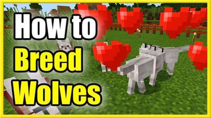 How do you breed wolves in minecraft