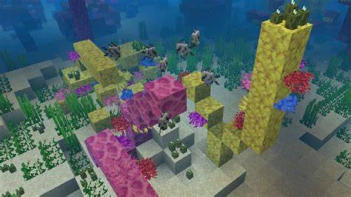 How do you collect coral in minecraft