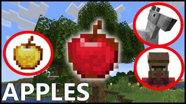 How do you get apples in minecraft