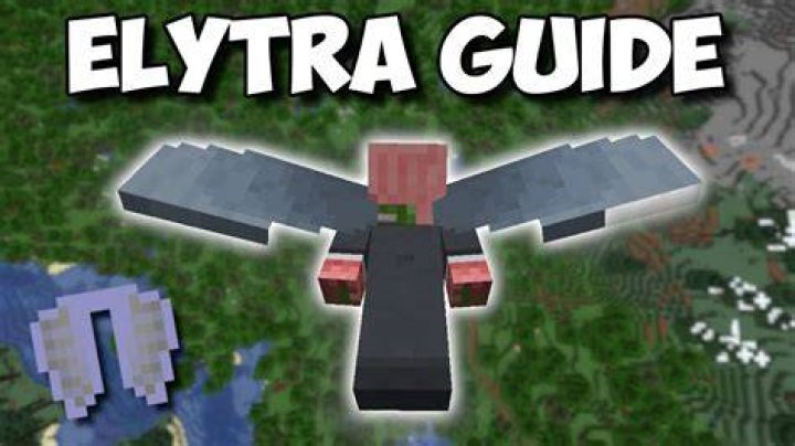 How do you get elytra in minecraft