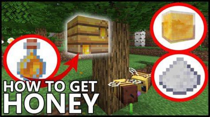 How do you get honey in minecraft