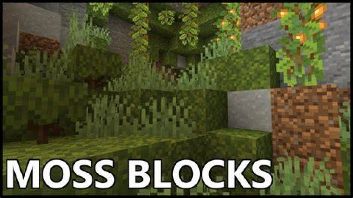 How do you get moss in minecraft