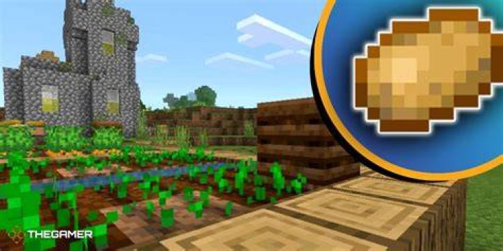 How do you get potatoes in minecraft