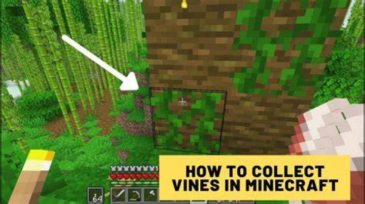 How do you get vines in minecraft