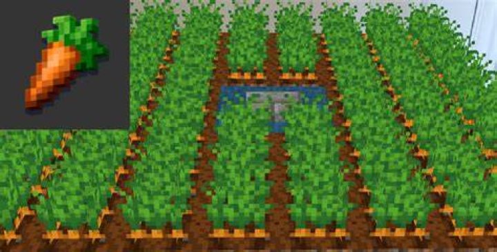 How do you grow carrots in minecraft