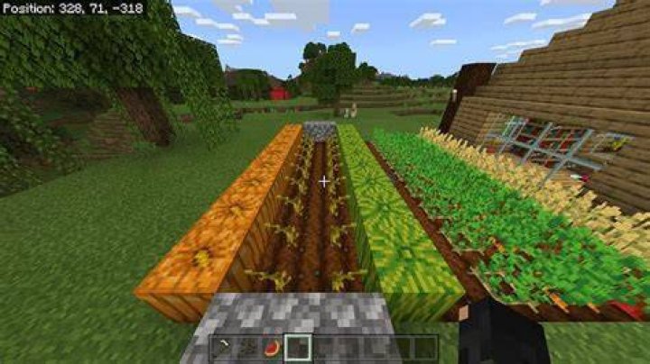 How do you grow melons in minecraft