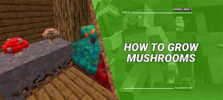 How do you grow mushrooms in minecraft