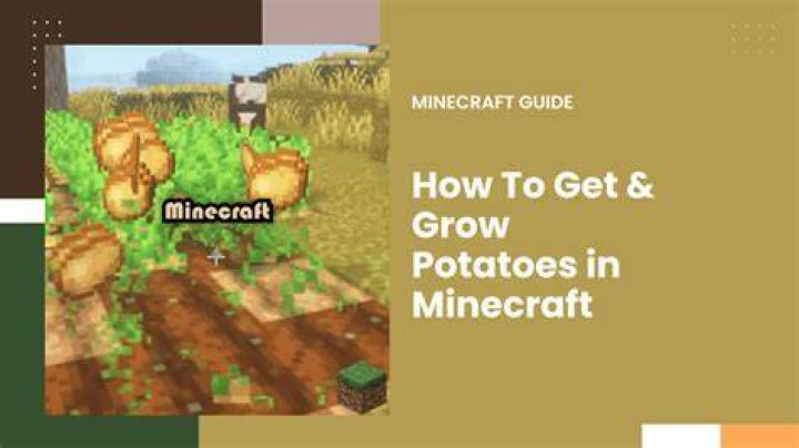 How do you grow potatoes in minecraft