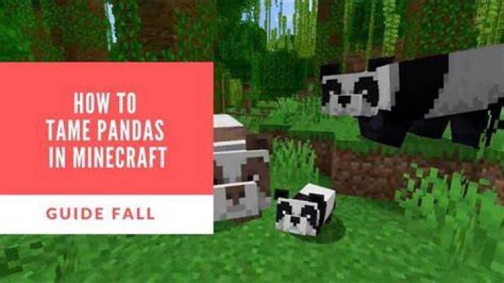 How do you mate pandas in minecraft