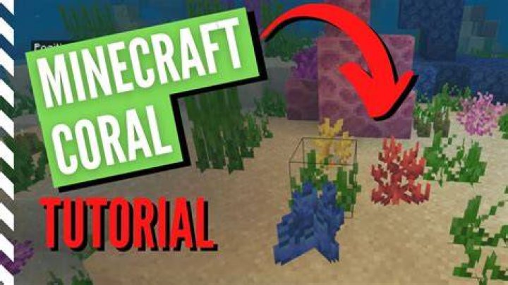How do you mine coral in minecraft