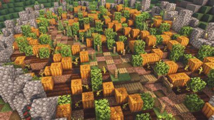 How do you plant pumpkins in minecraft