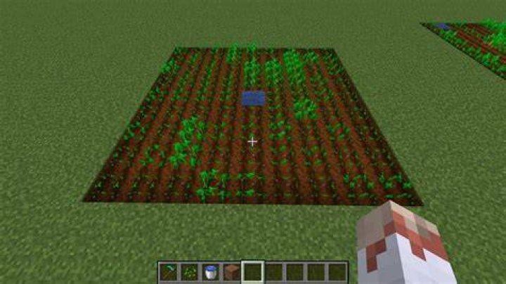 How do you plant seeds in minecraft