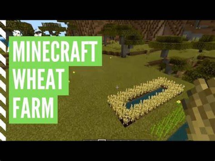 How do you plant wheat in minecraft