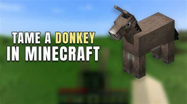 How do you tame donkeys in minecraft
