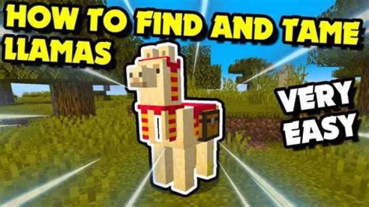 How do you tame llamas in minecraft