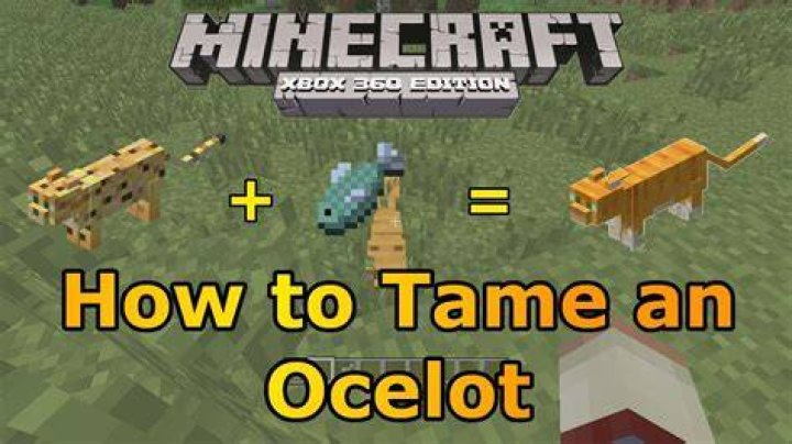 How do you tame ocelots in minecraft
