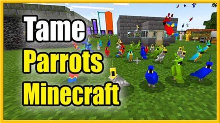 How do you tame parrots in minecraft