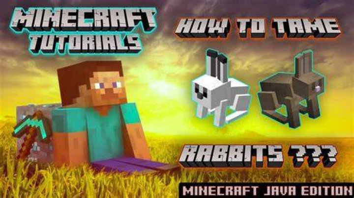 How do you tame rabbits in minecraft