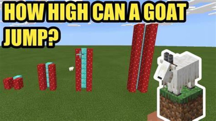 How high can goats jump in minecraft