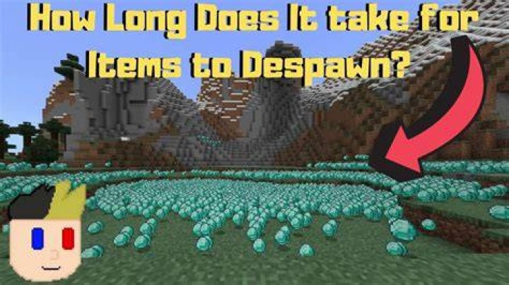 How long till items despawn minecraft