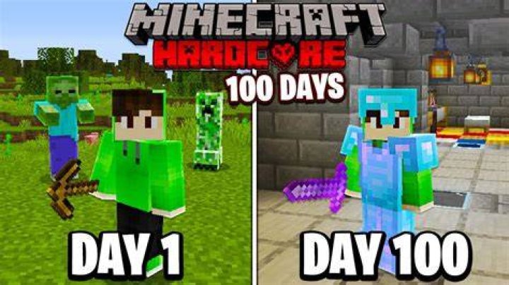 How many hours is 100 minecraft days