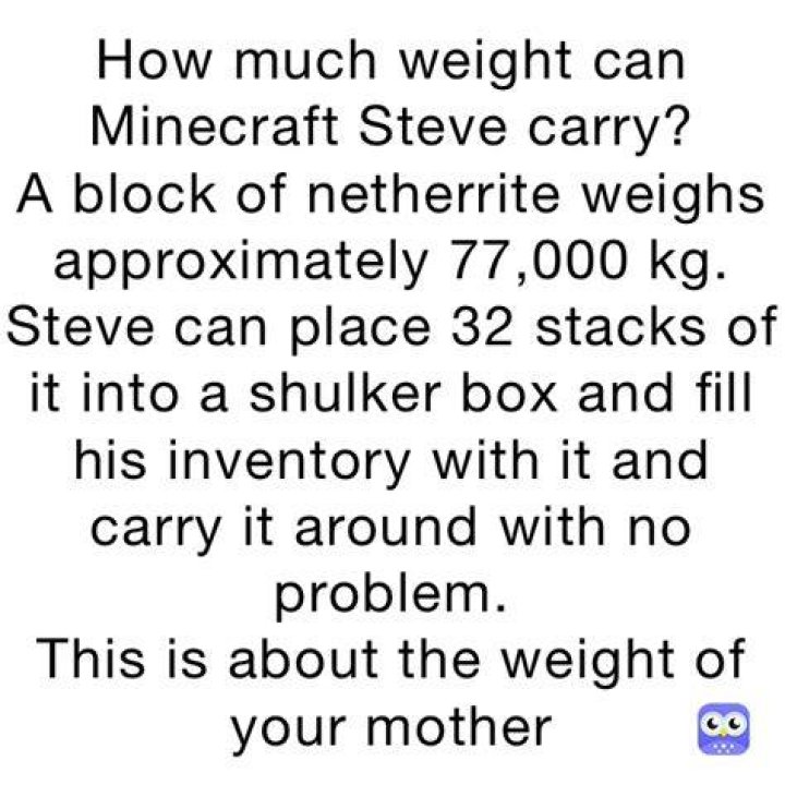 How much weight can minecraft steve carry