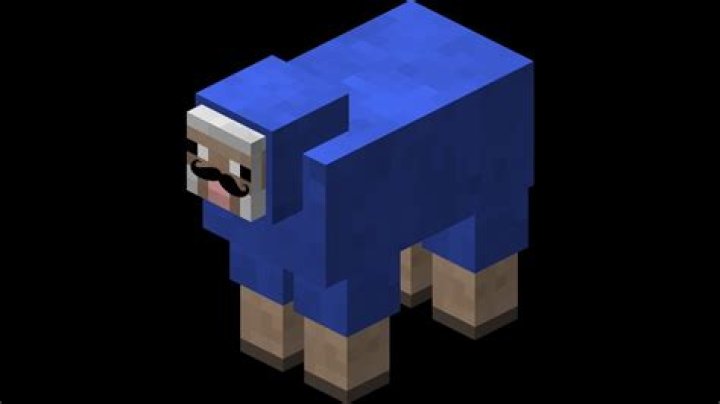 How rare are blue sheep in minecraft