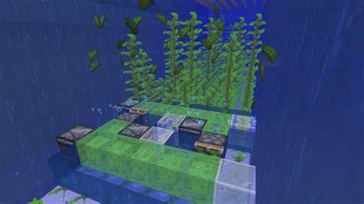 How tall can kelp grow minecraft