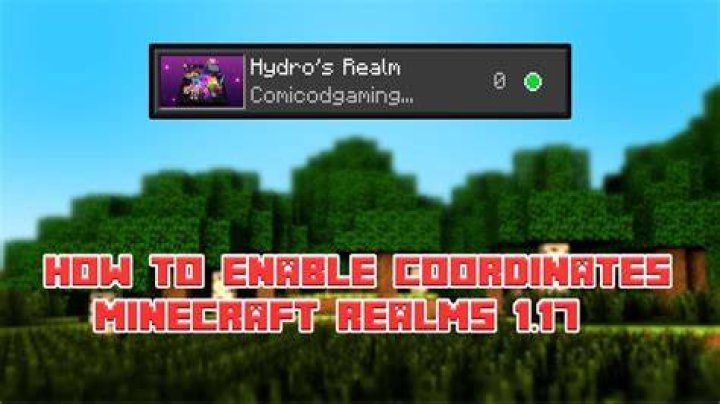How to activate coordinates in minecraft realms