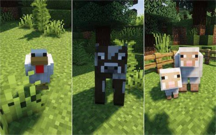 How to attract animals in minecraft
