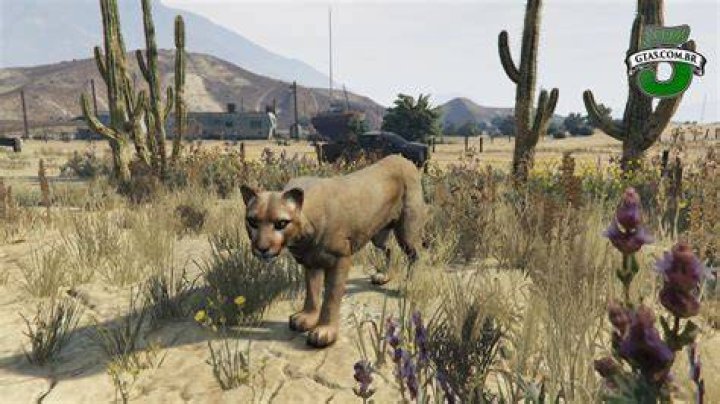 How to be an animal in gta 5