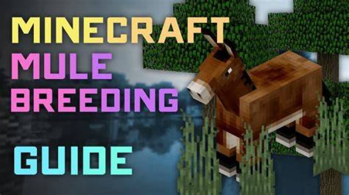 How to breed a mule in minecraft