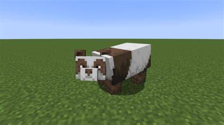 How to breed a panda in minecraft