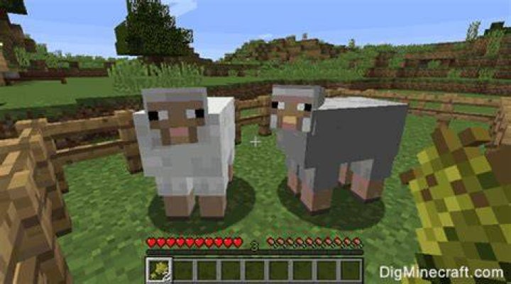 How to breed a sheep in minecraft