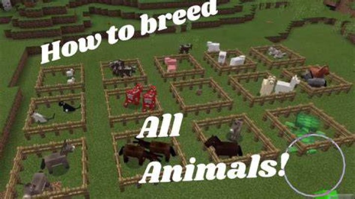 How to breed animals in minecraft pe
