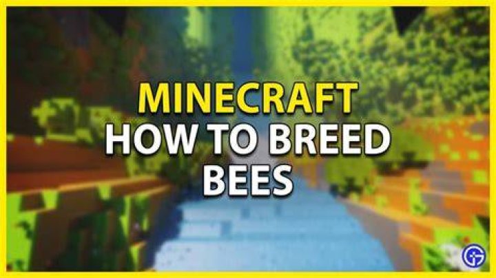 How to breed bees in minecraft