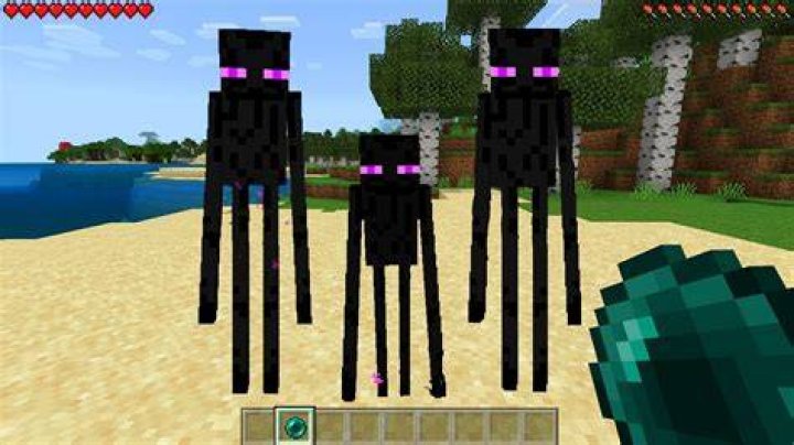 How to breed enderman in minecraft