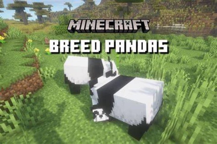 How to breed pandas in minecraft 2020