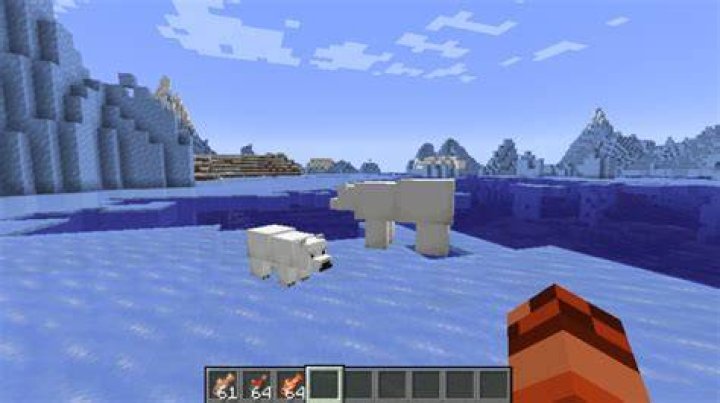 How to breed polar bears in minecraft