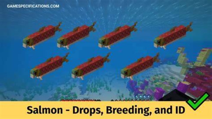 How to breed salmon in minecraft